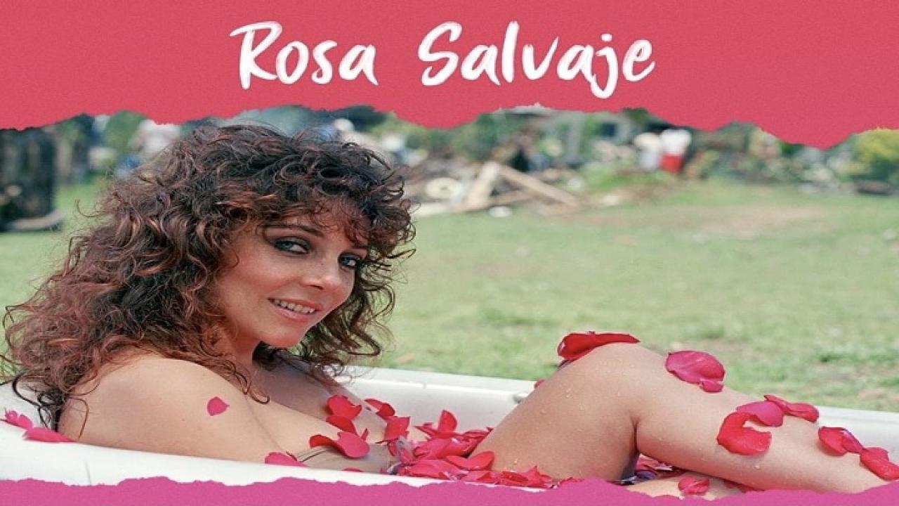 Rosa salvaje